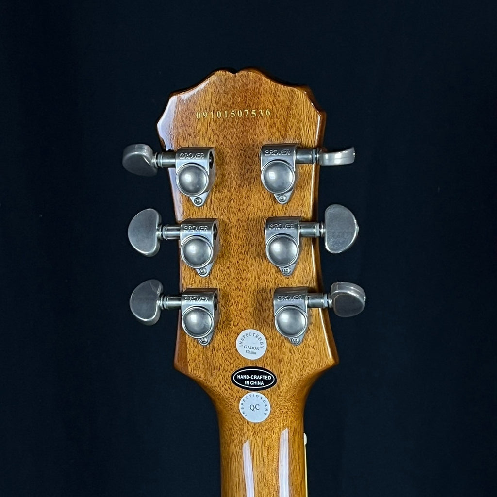 Epiphone Les Paul Standard 2009