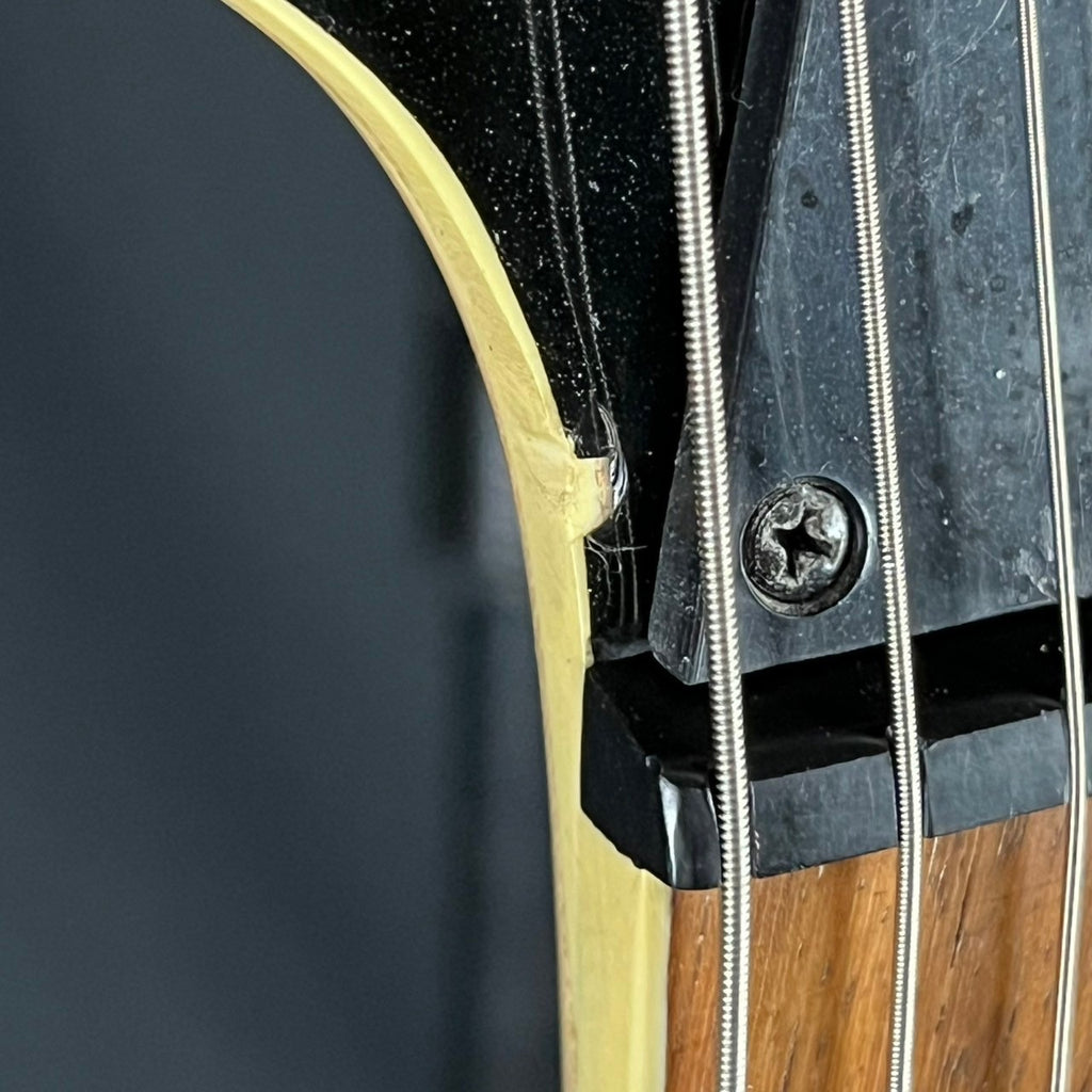 Ibanez GIO Series
