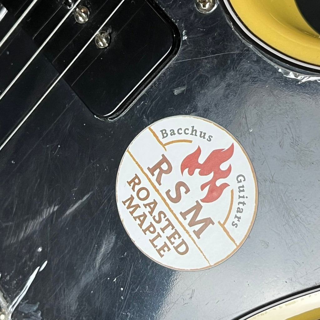 Bacchus BTE-2-RSM Telecaster