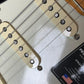 Fender American Professional II Stratocaster