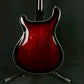 PRS SE Hollowbody Standard 2020