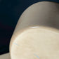 Fender Mexico Standard Telecaster 1994