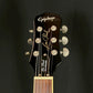 Epiphone Les Paul Standard 2010