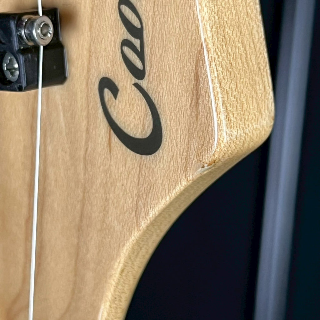 CoolZ Japan ZS-1R FM HSH