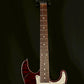 Schecter Japan EX-22-CTM