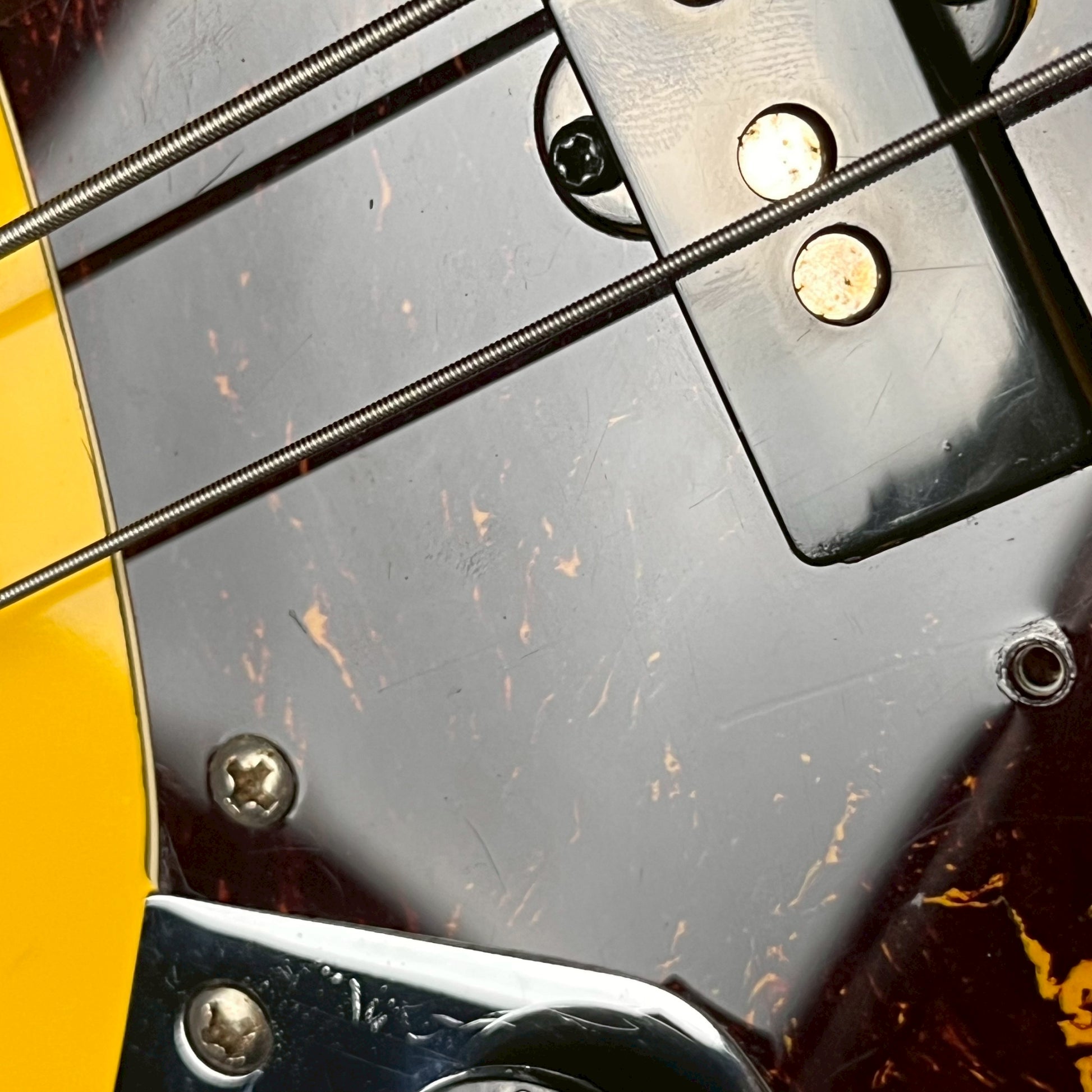 Bacchus WL-434 Bass