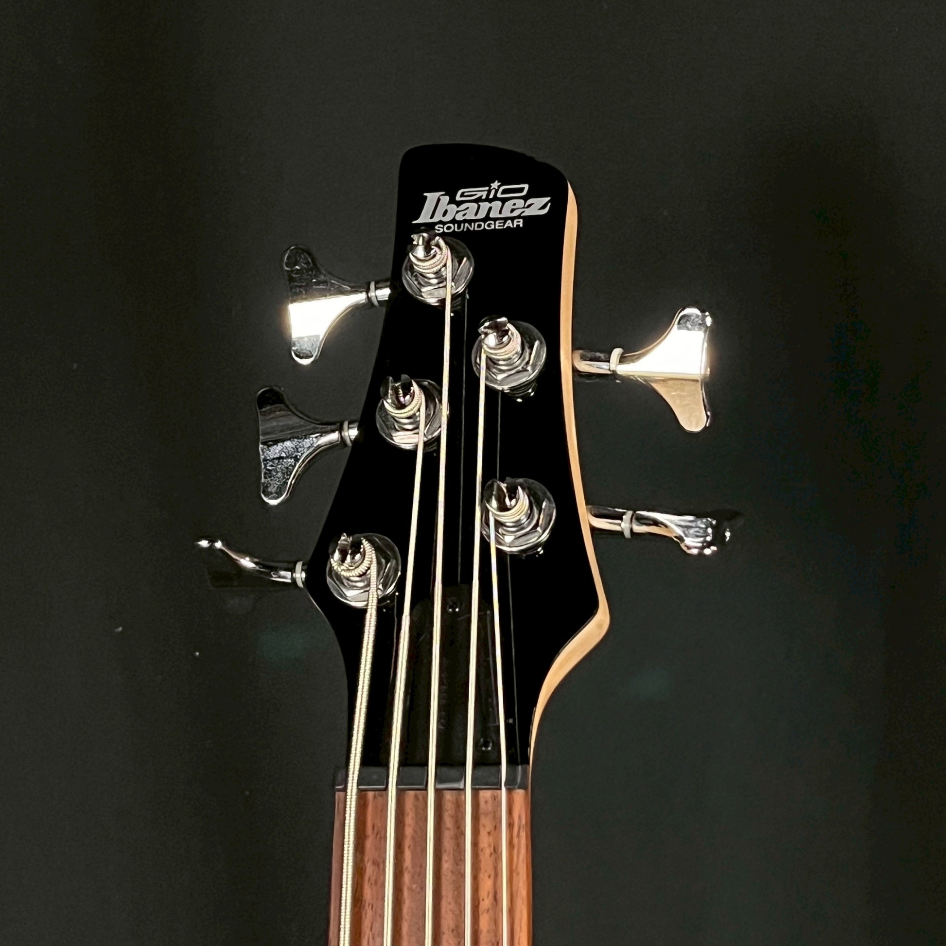 Ibanez GSR105EX Bass