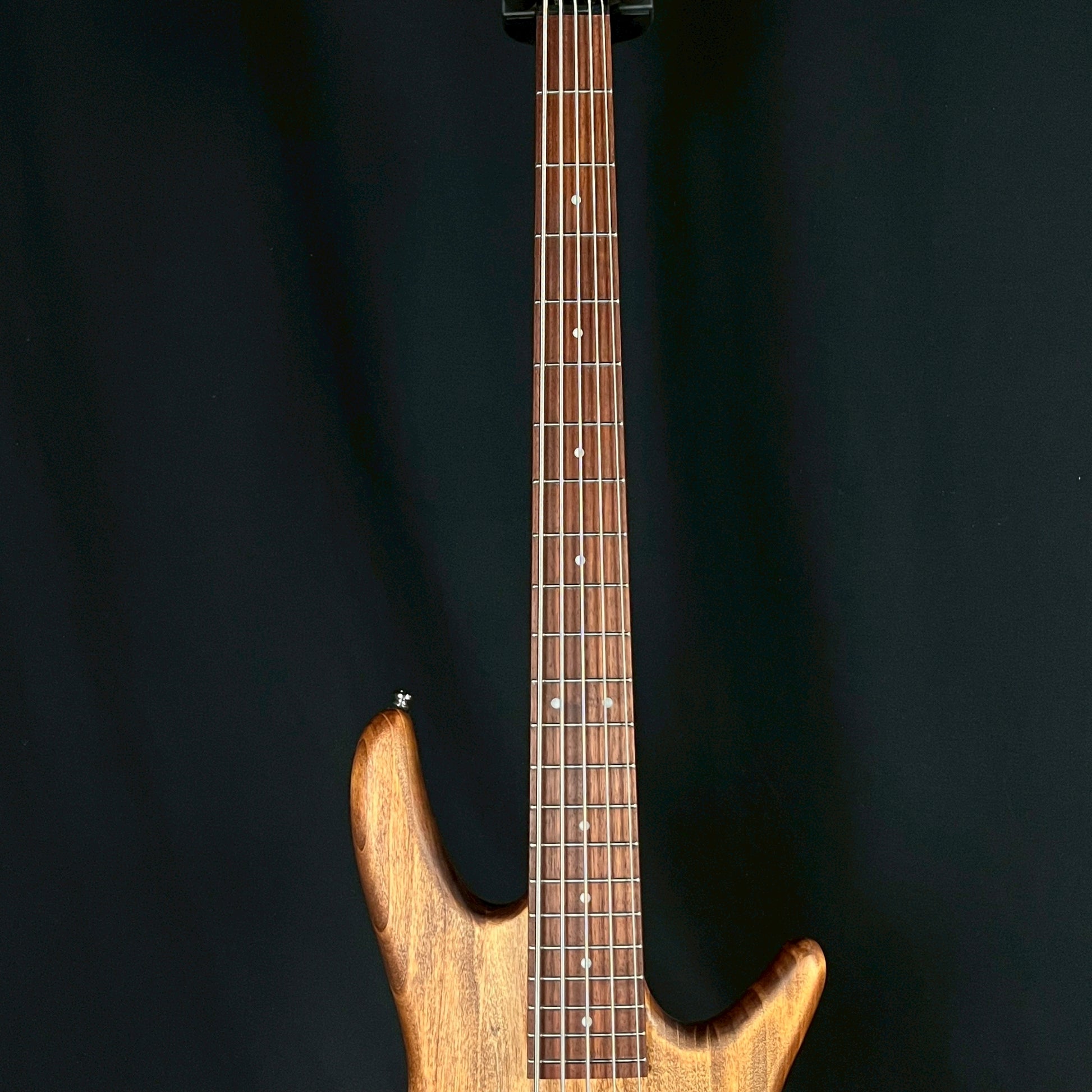 Ibanez GSR105EX Bass