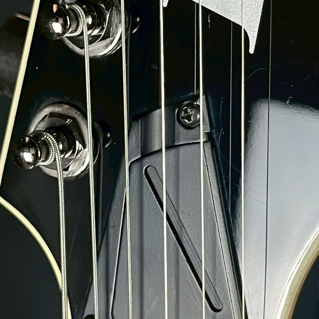Ibanez RGIR20E