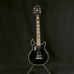 Epiphone Tak Matsumoto Custom 2010