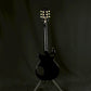 Epiphone Tak Matsumoto Custom 2010