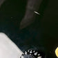 Epiphone Tak Matsumoto Custom 2010