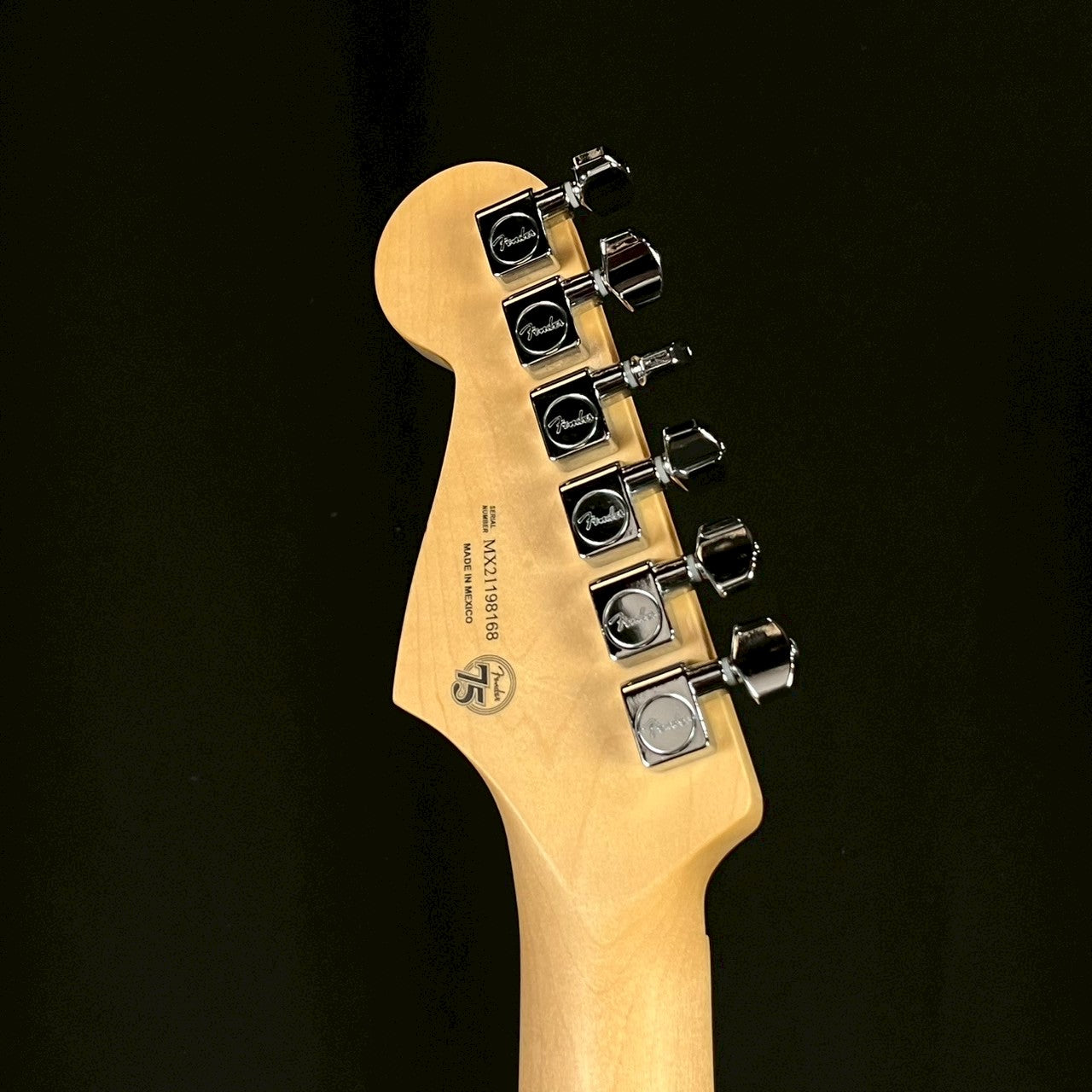 Fender Player Stratocaster Floyd Rose HSS