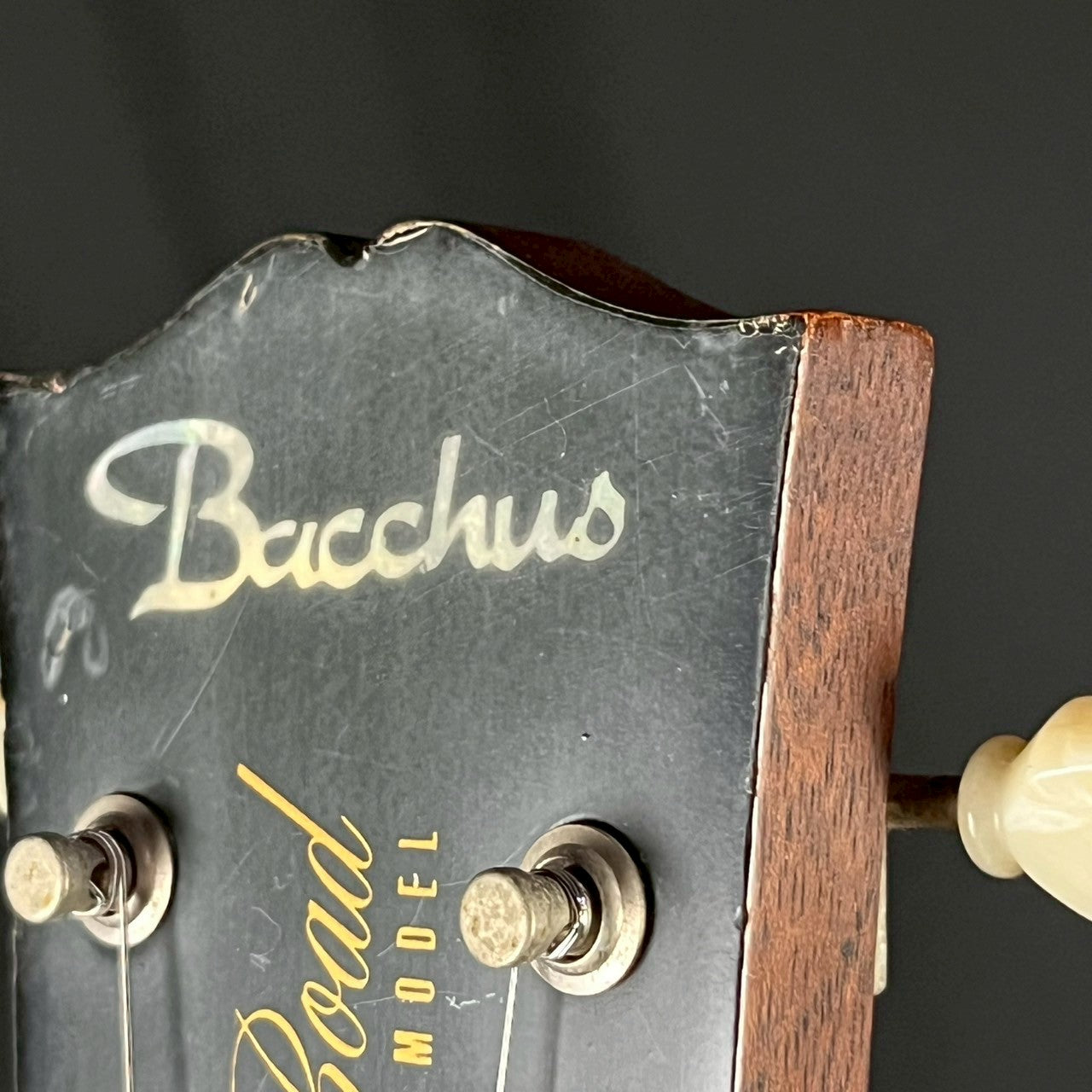 Bacchus Live Road Les Paul