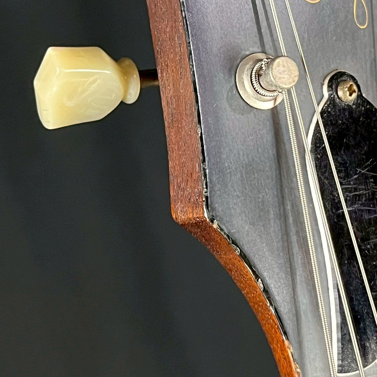 Bacchus Live Road Les Paul
