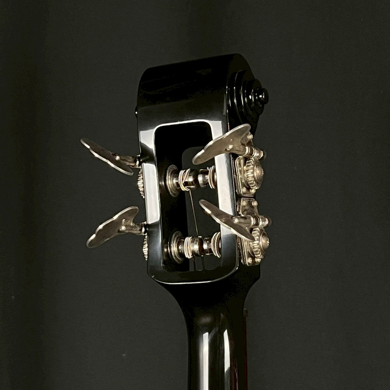 Bacchus Scroll Bass BEB-1