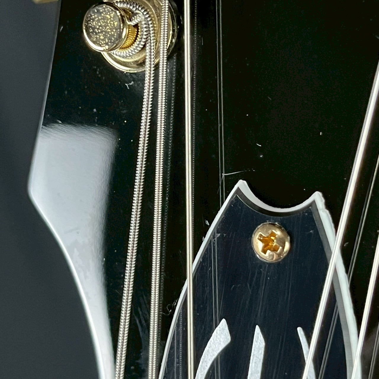 Epiphone Riviera Custom P93 WR