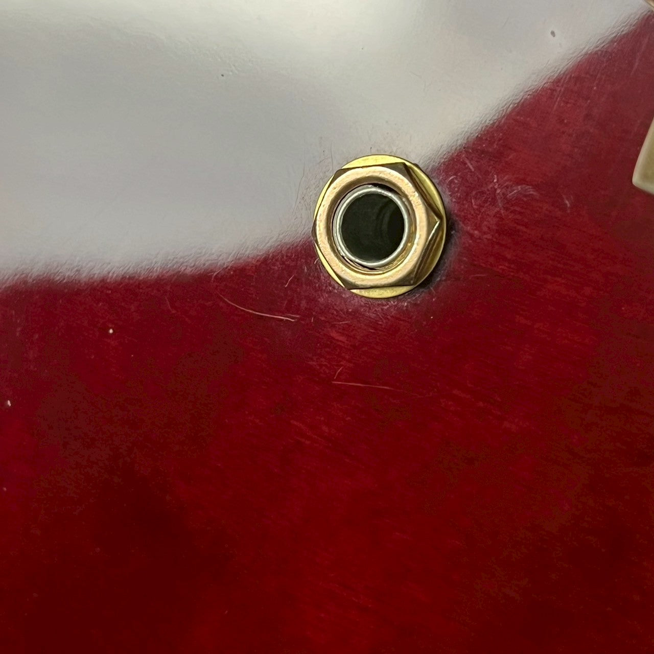 Epiphone Riviera Custom P93 WR