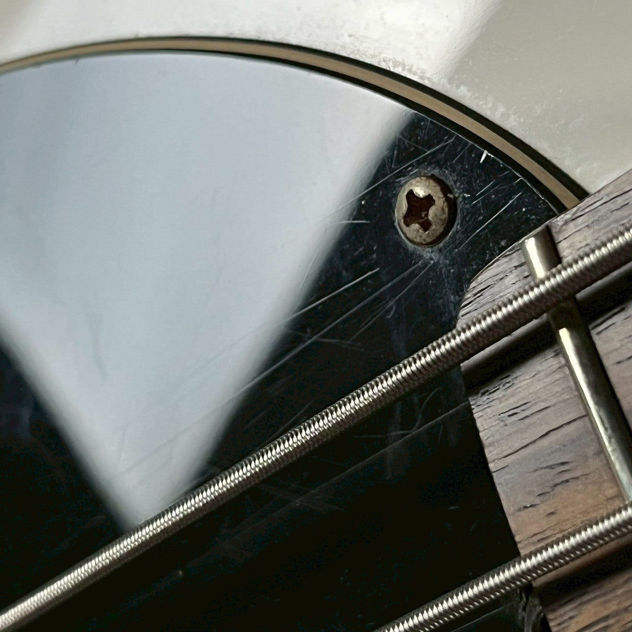 Sterling Ray34 Bass