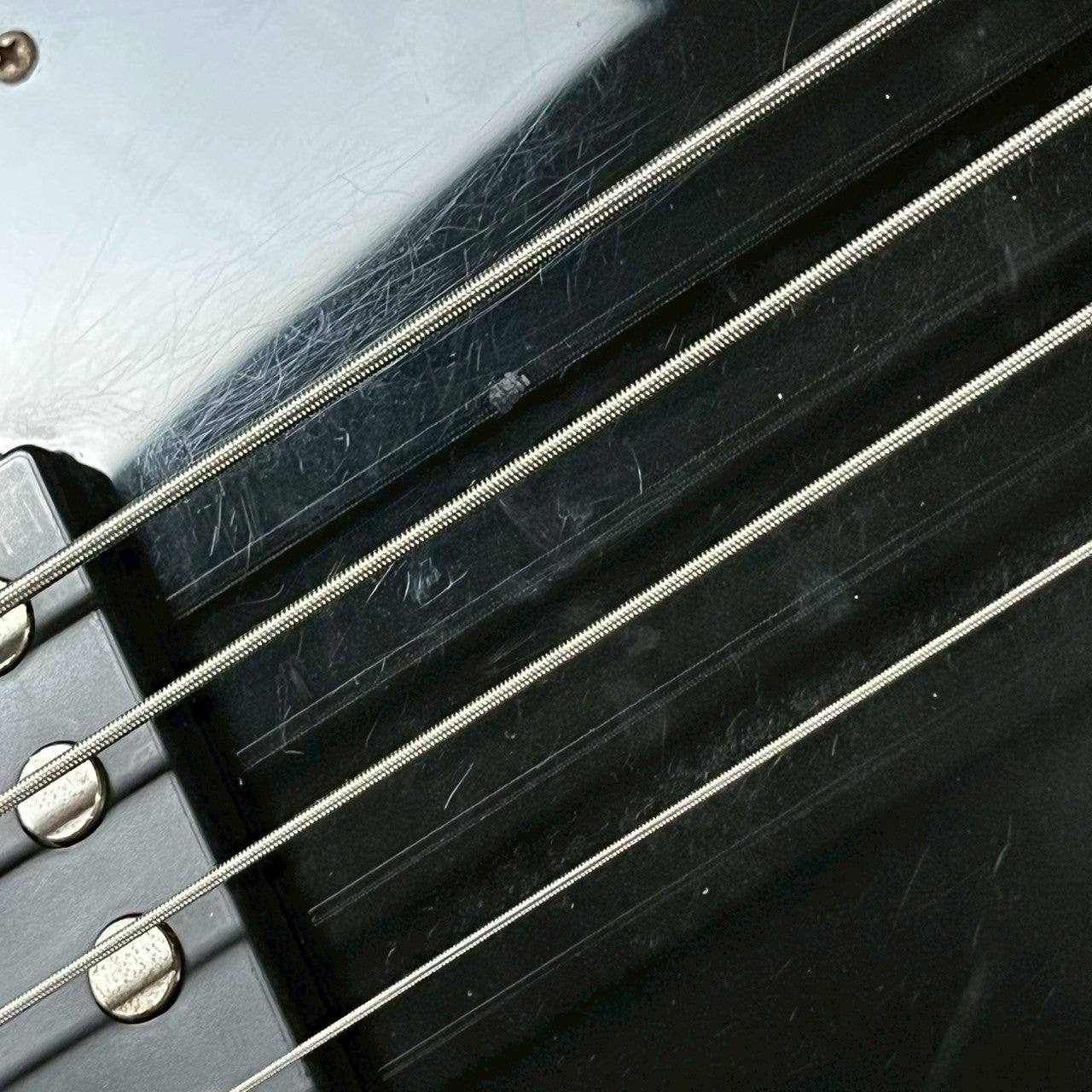 Sterling Ray34 Bass