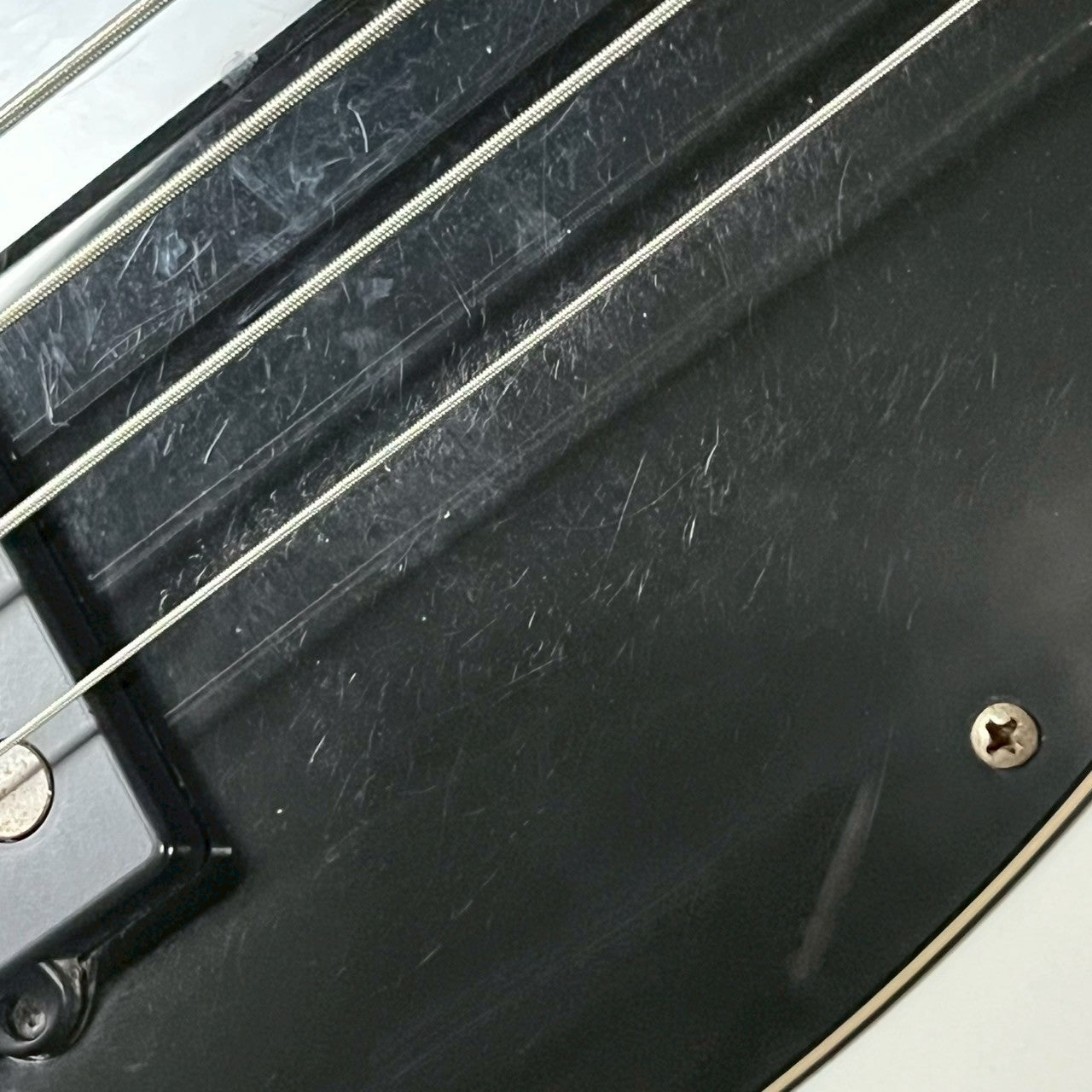 Sterling Ray34 Bass