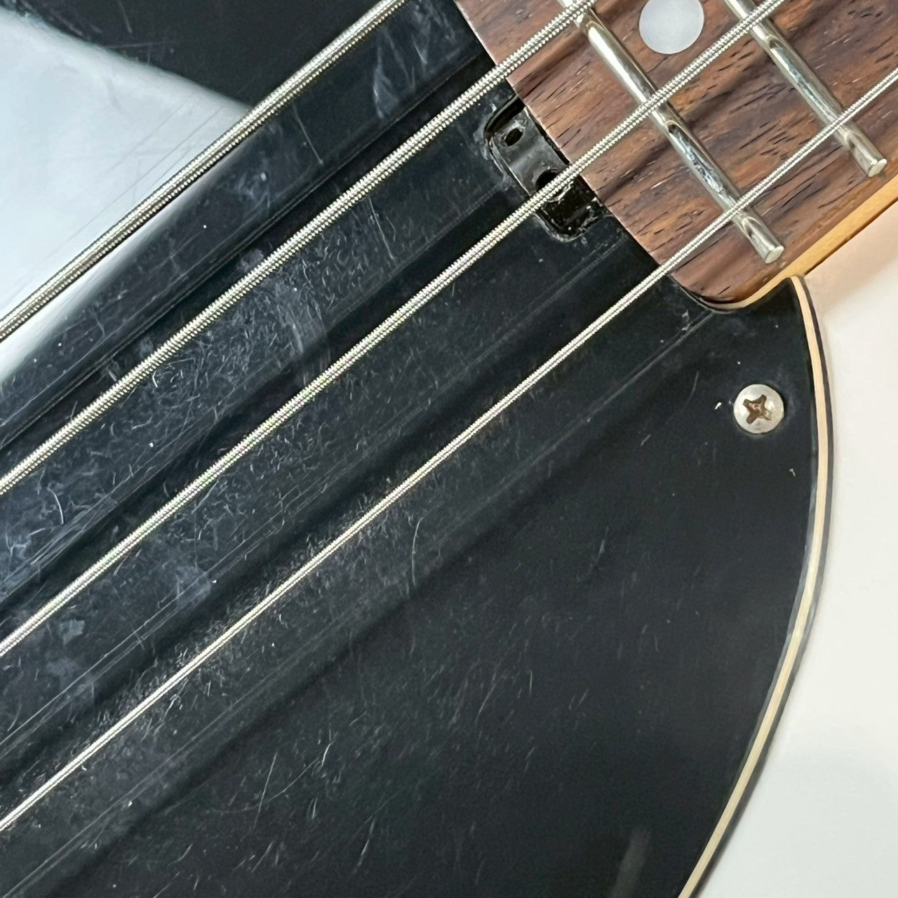 Sterling Ray34 Bass