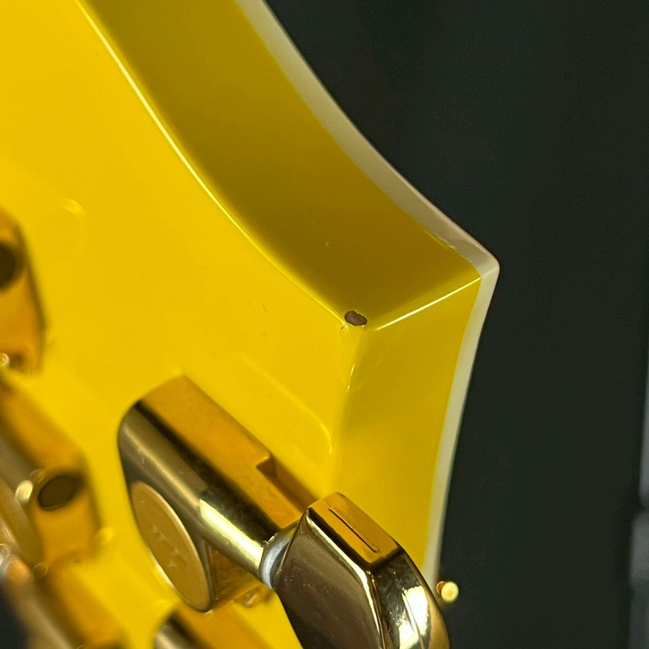 Bunny MG-145S HY Hide Model