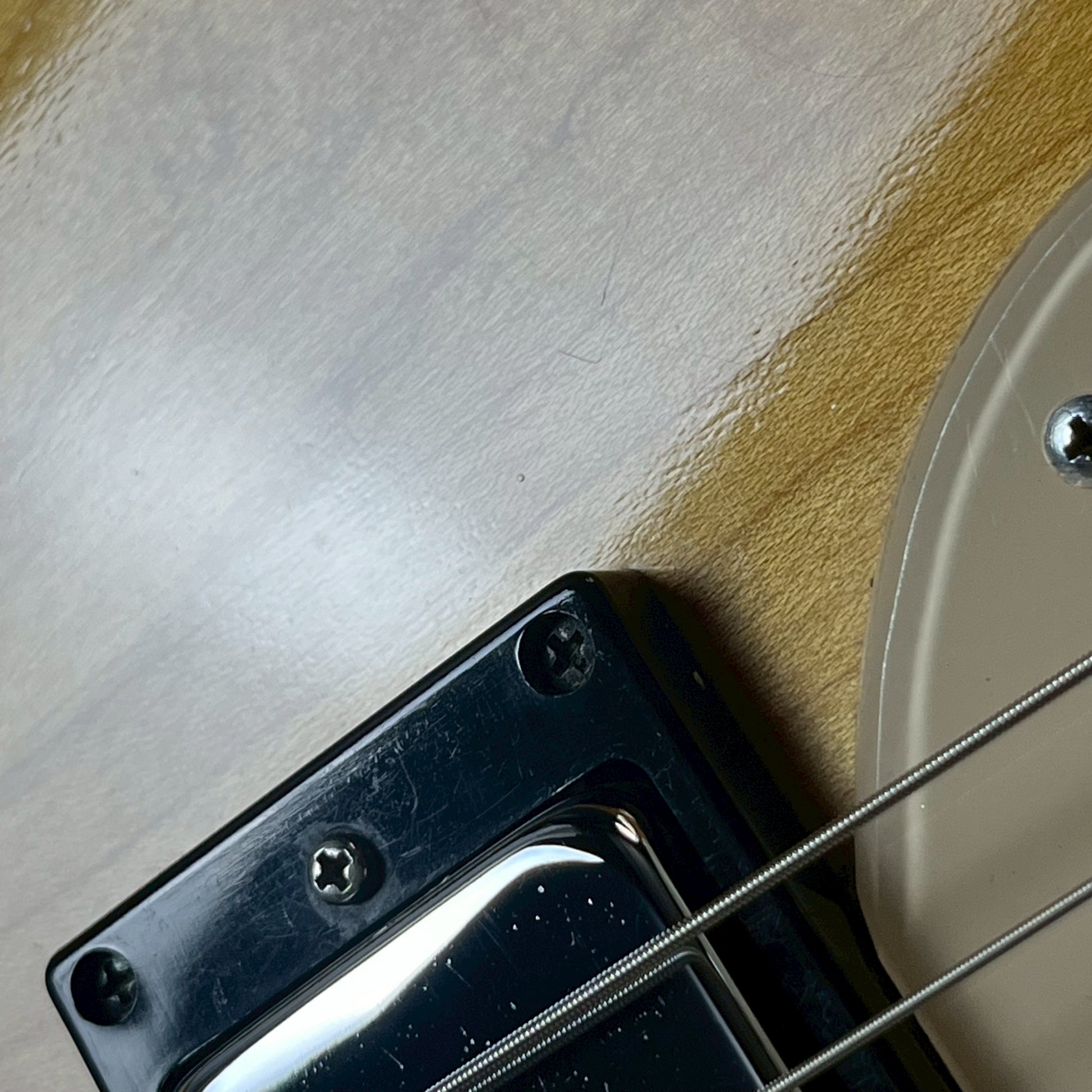 Epiphone Japan Wilshire 1970