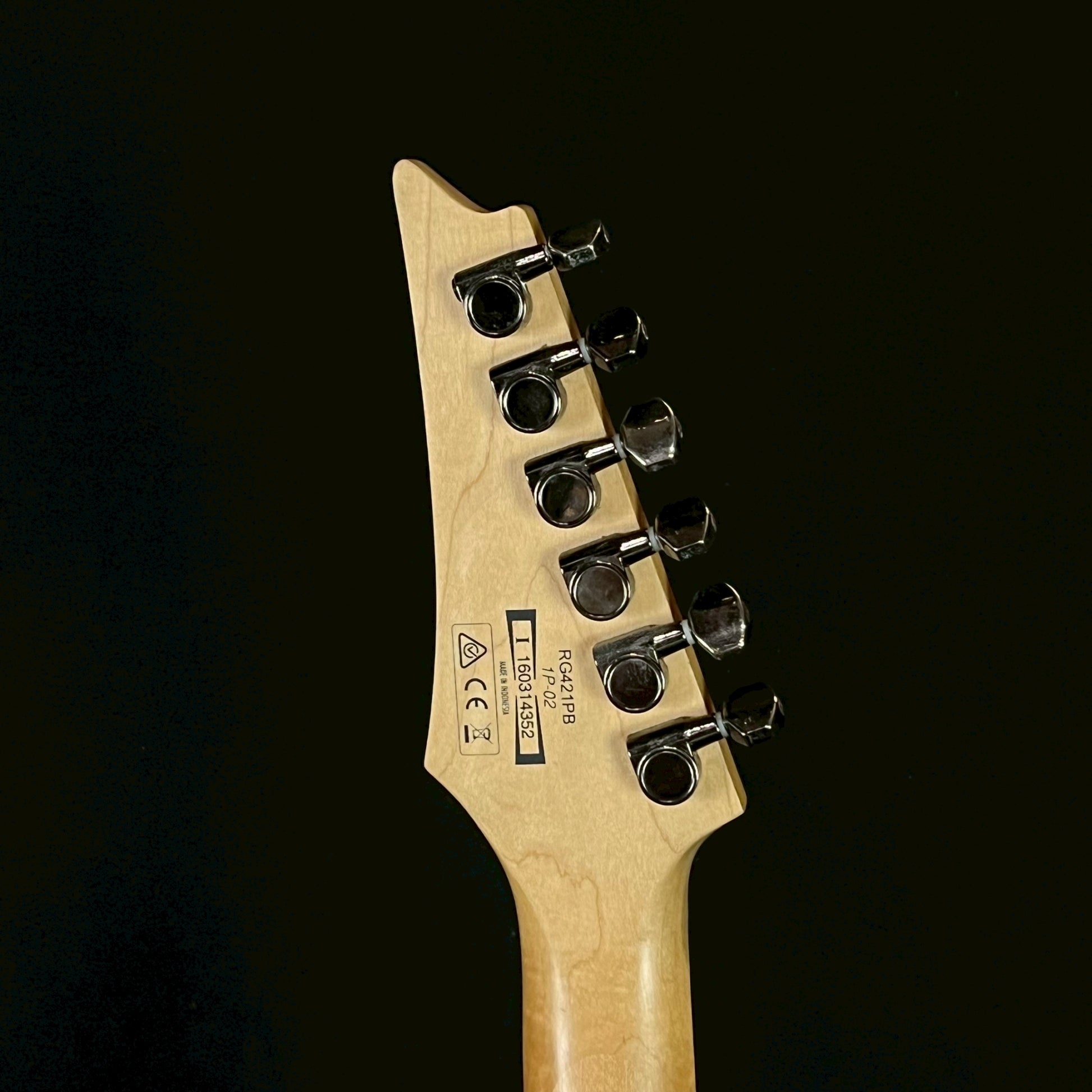 Ibanez RG421PB
