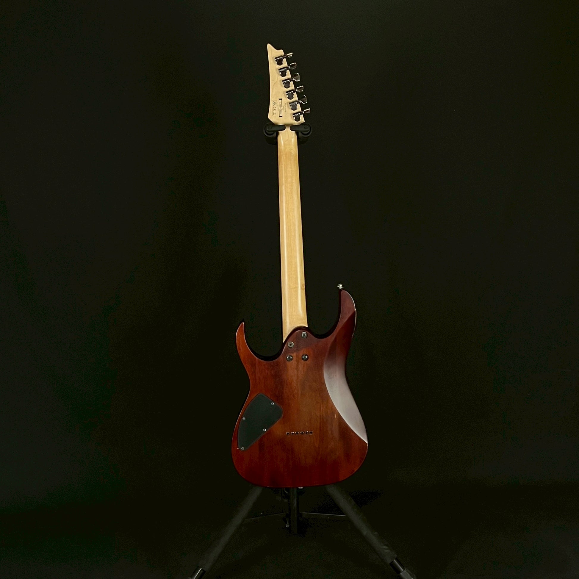 Ibanez RG421PB