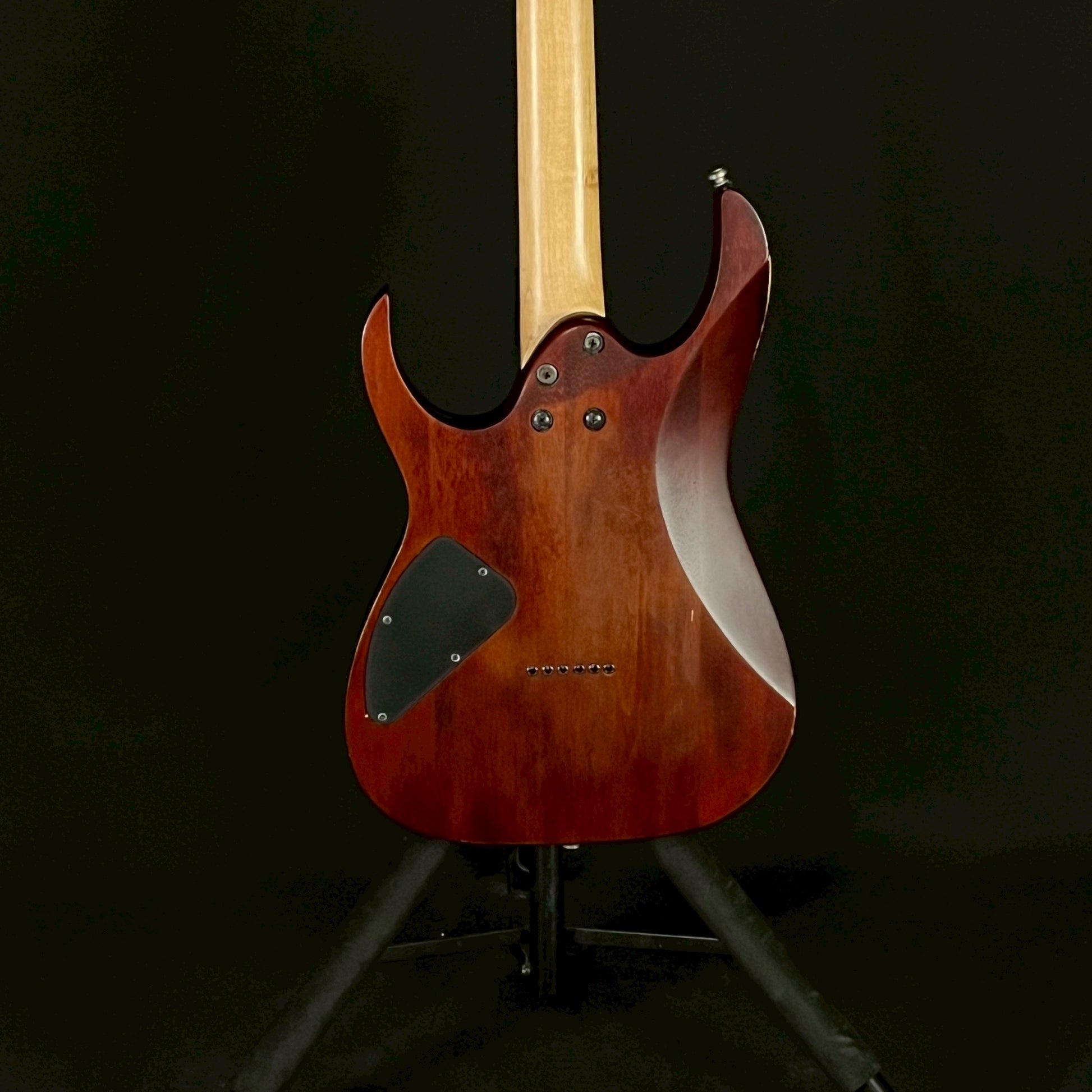 Ibanez RG421PB