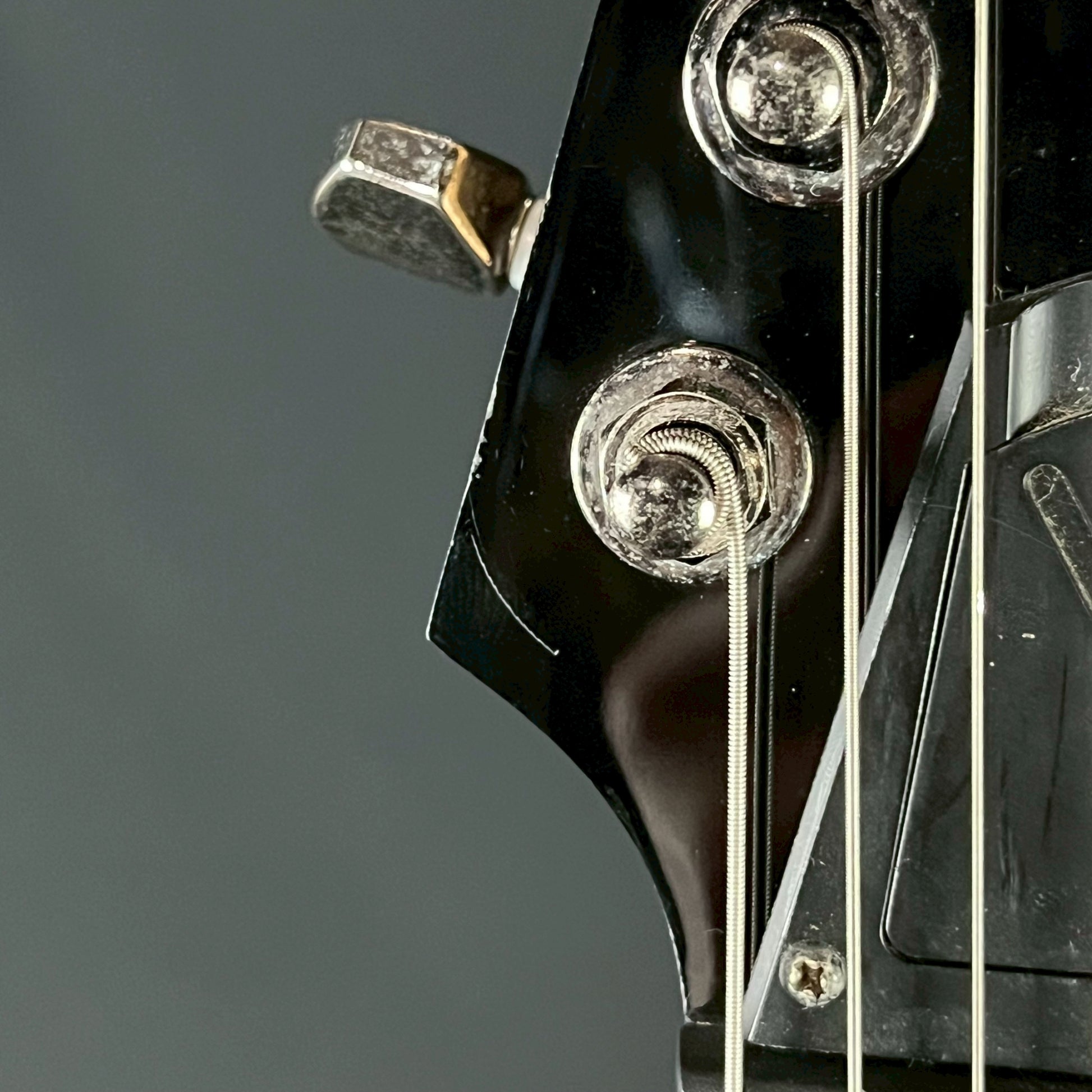 Ibanez RG421PB