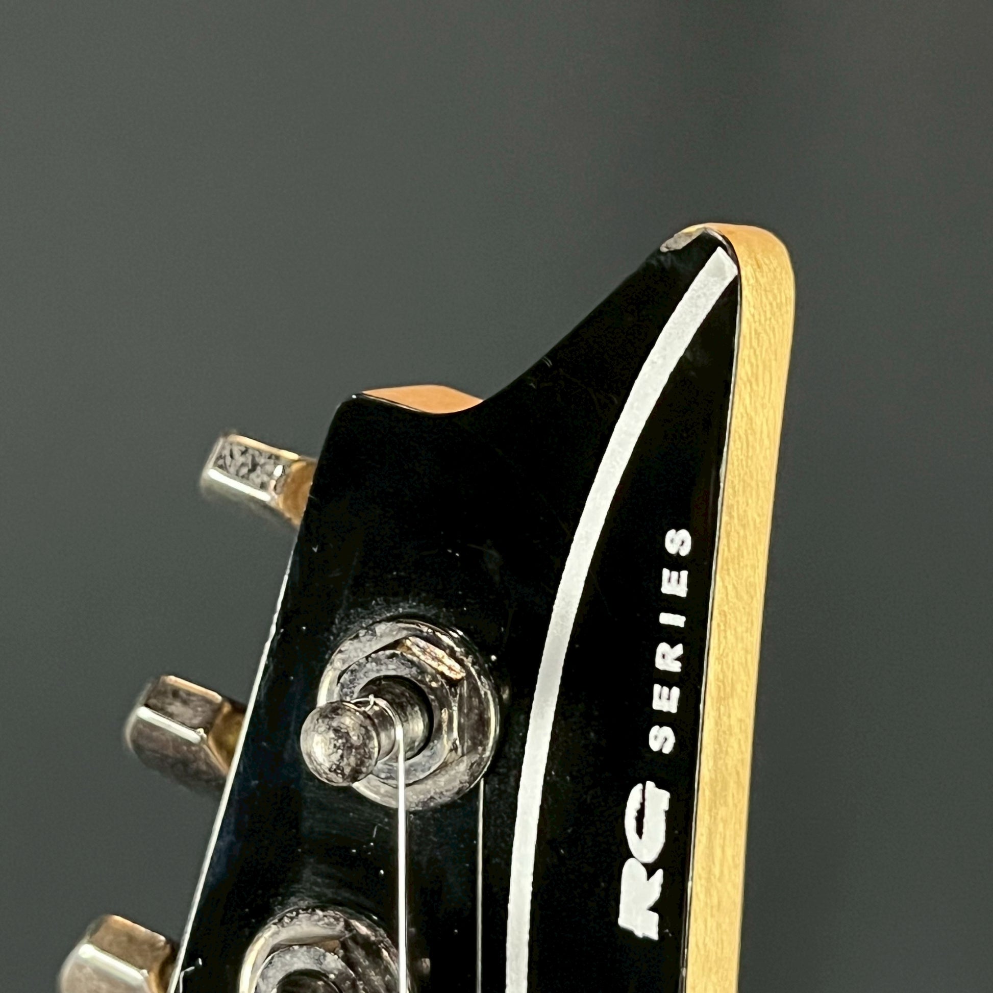 Ibanez RG421PB