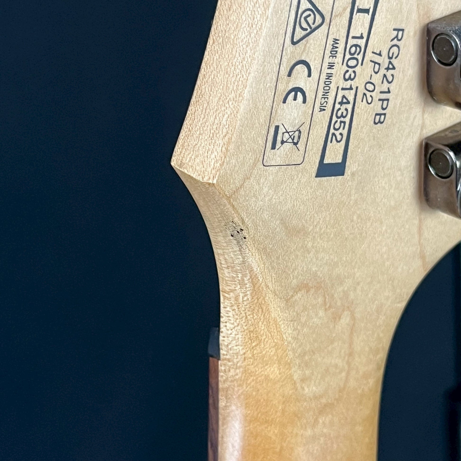 Ibanez RG421PB