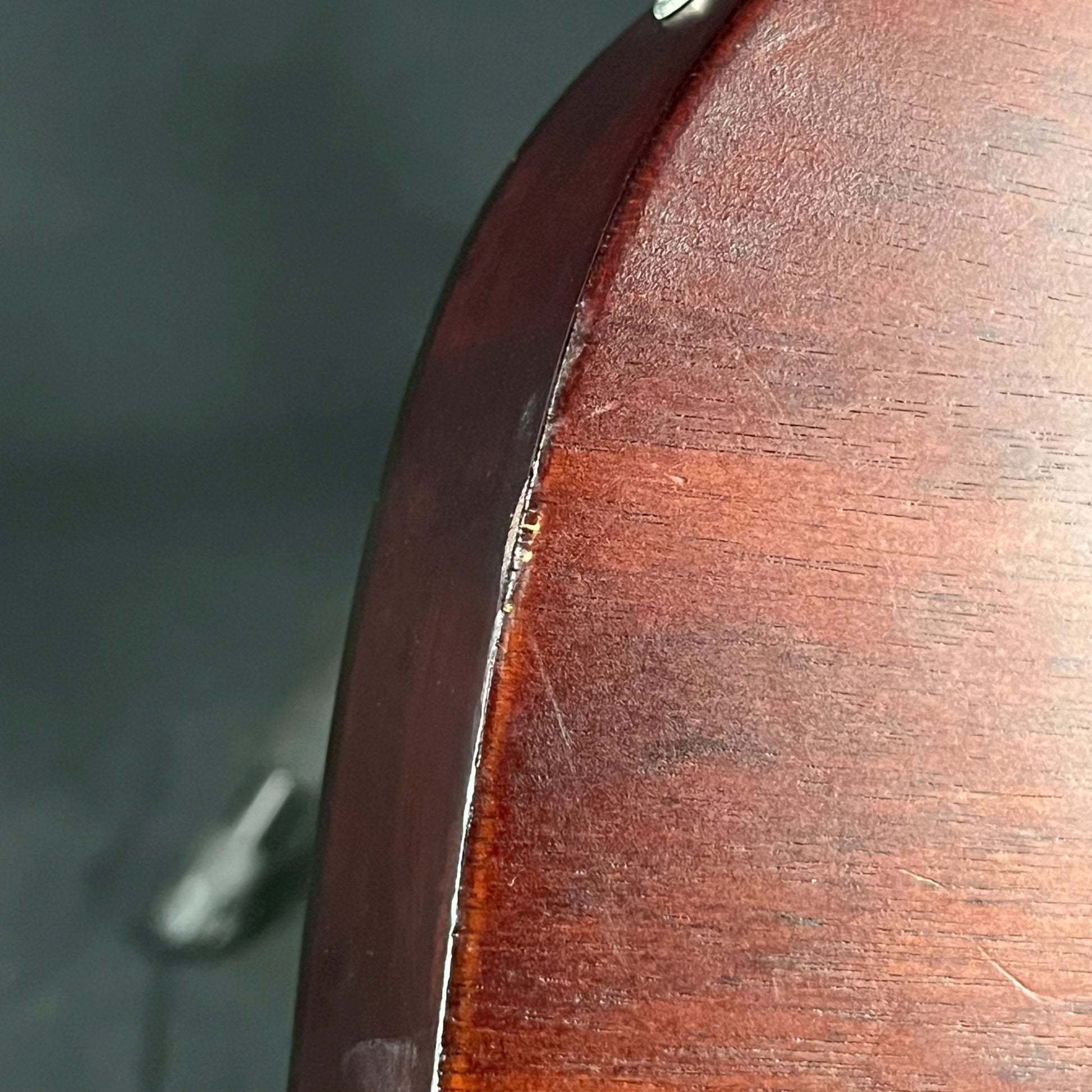 Ibanez RG421PB