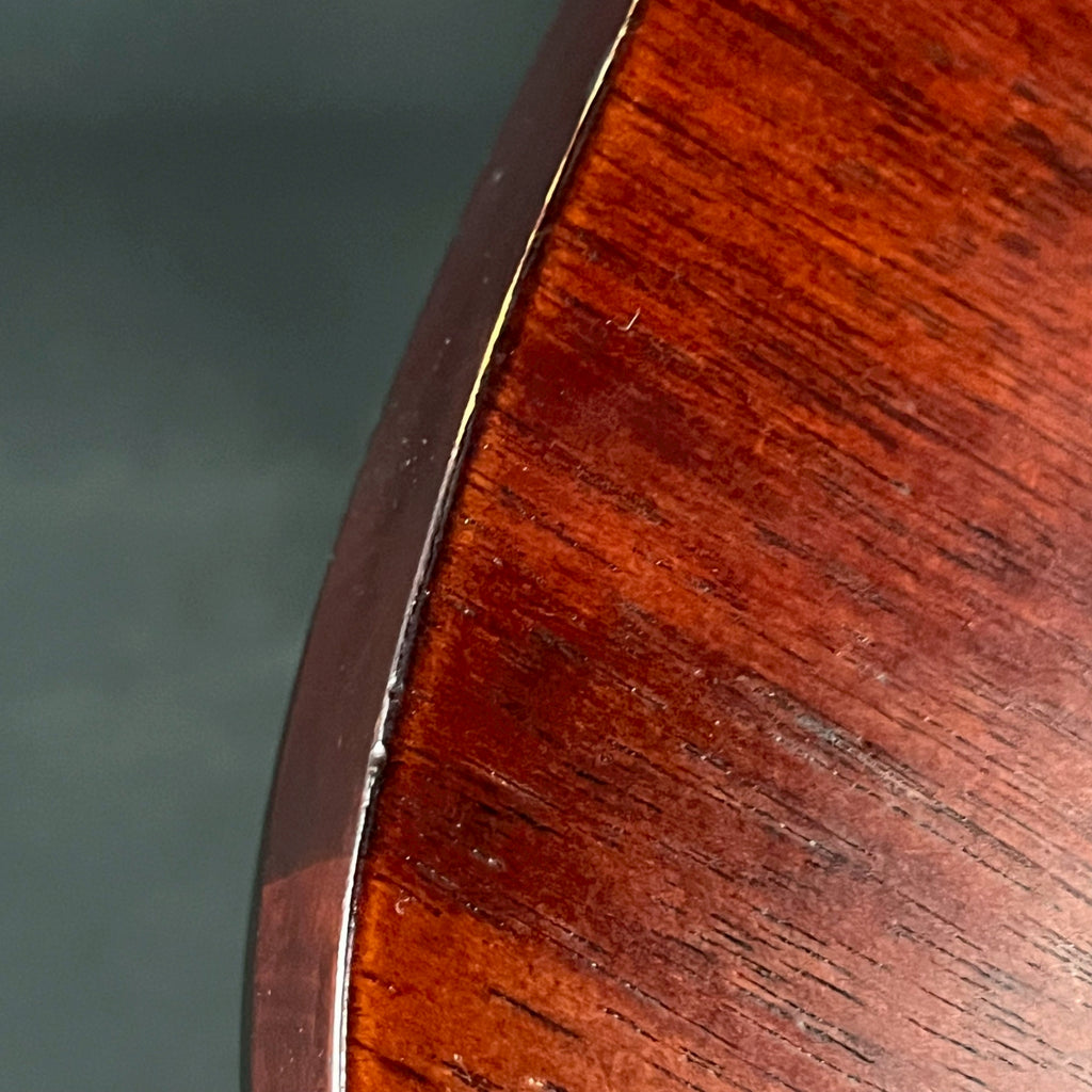 Ibanez RG421PB