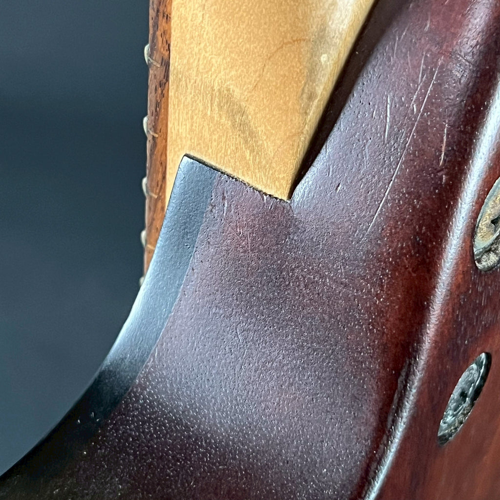 Ibanez RG421PB