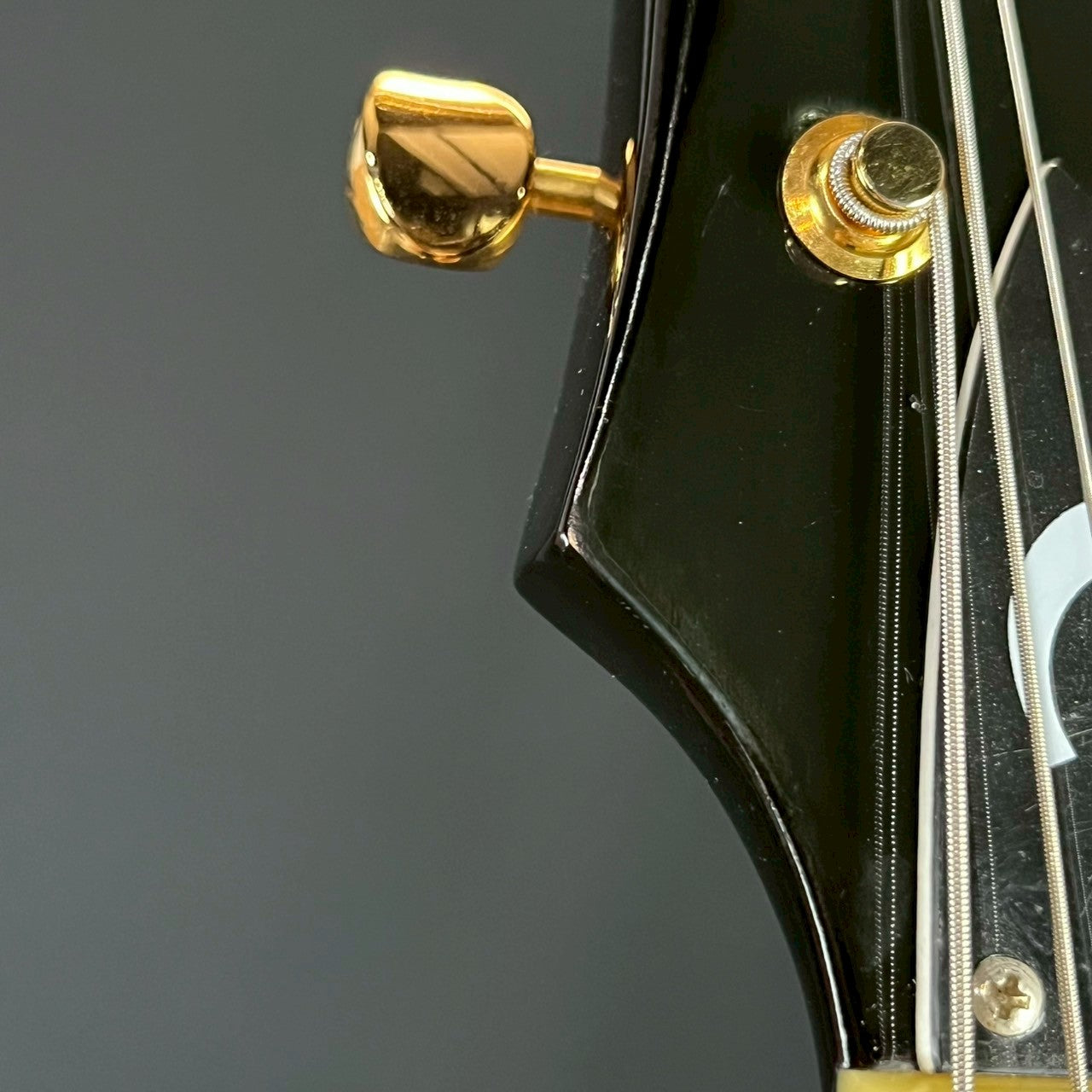 Epiphone Korea Casino VS