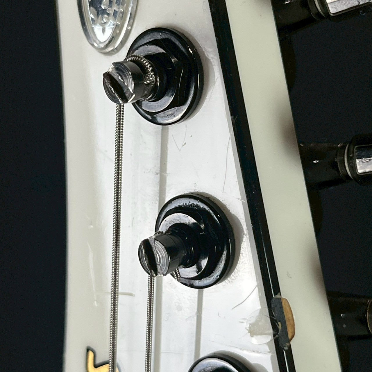 Fernandes Japan FGZ-DLX