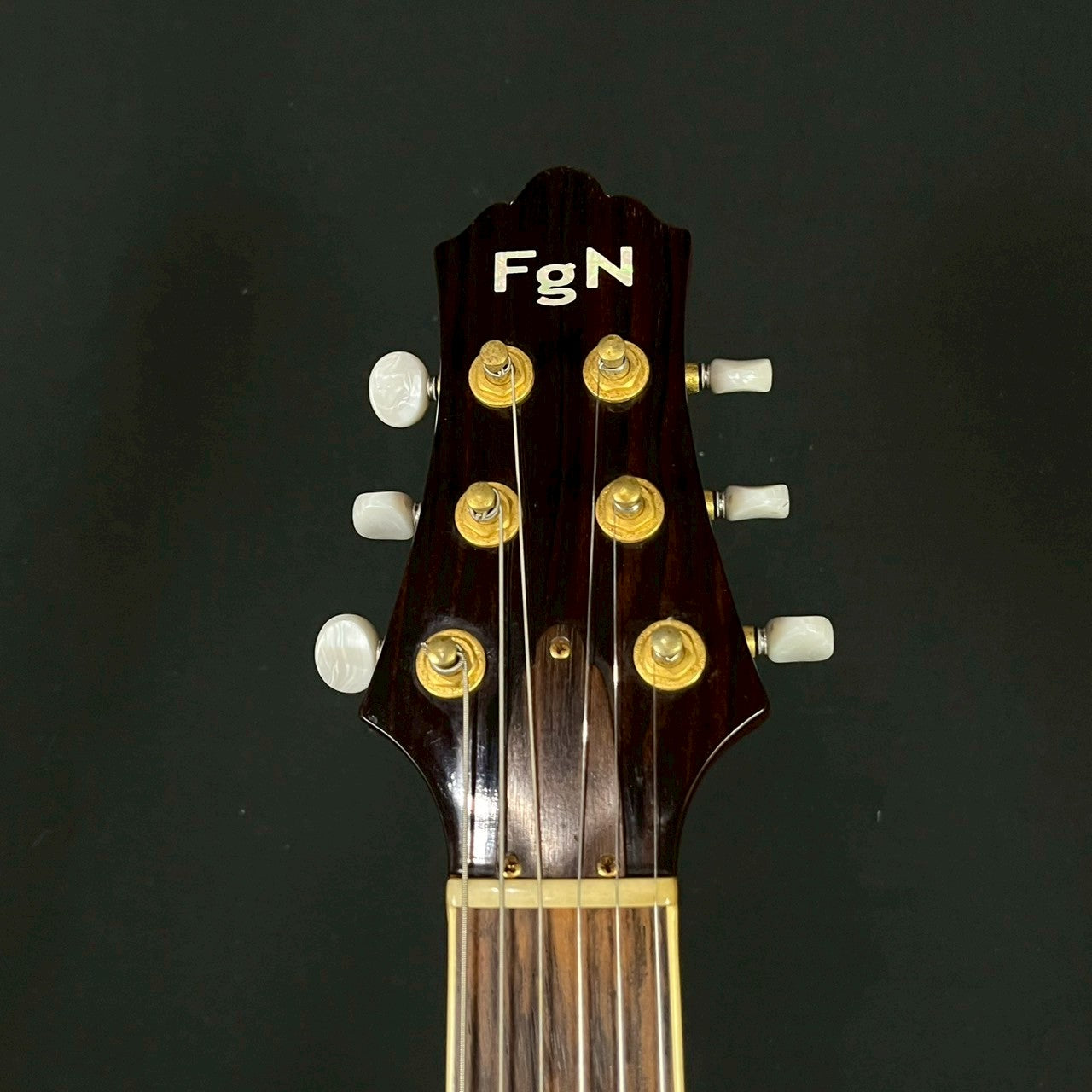 FGN Japan Custom Shop GF-FH5
