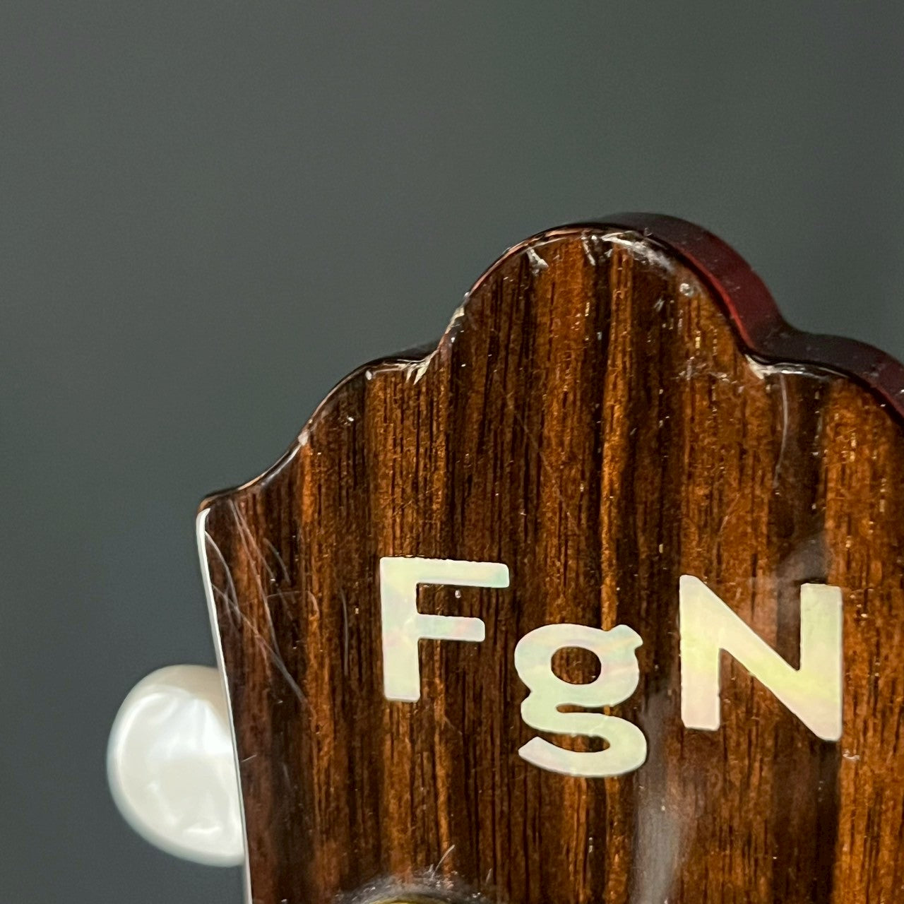 FGN Japan Custom Shop GF-FH5