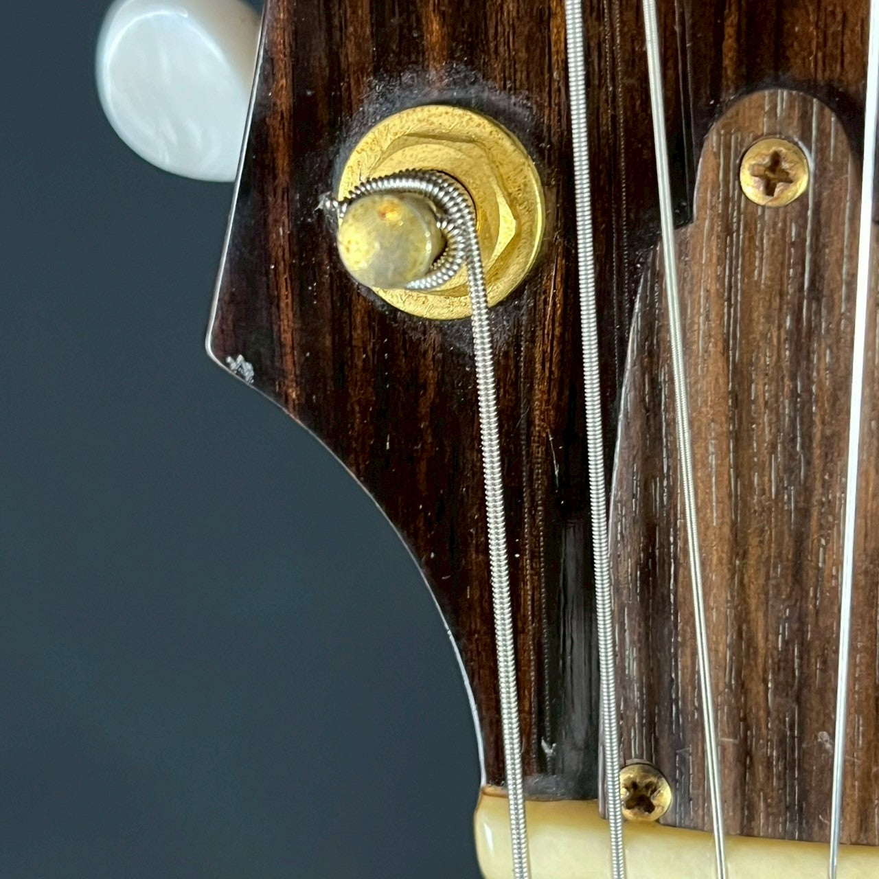 FGN Japan Custom Shop GF-FH5
