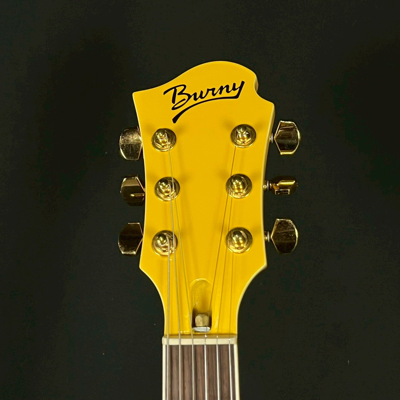 Burny MG-85X