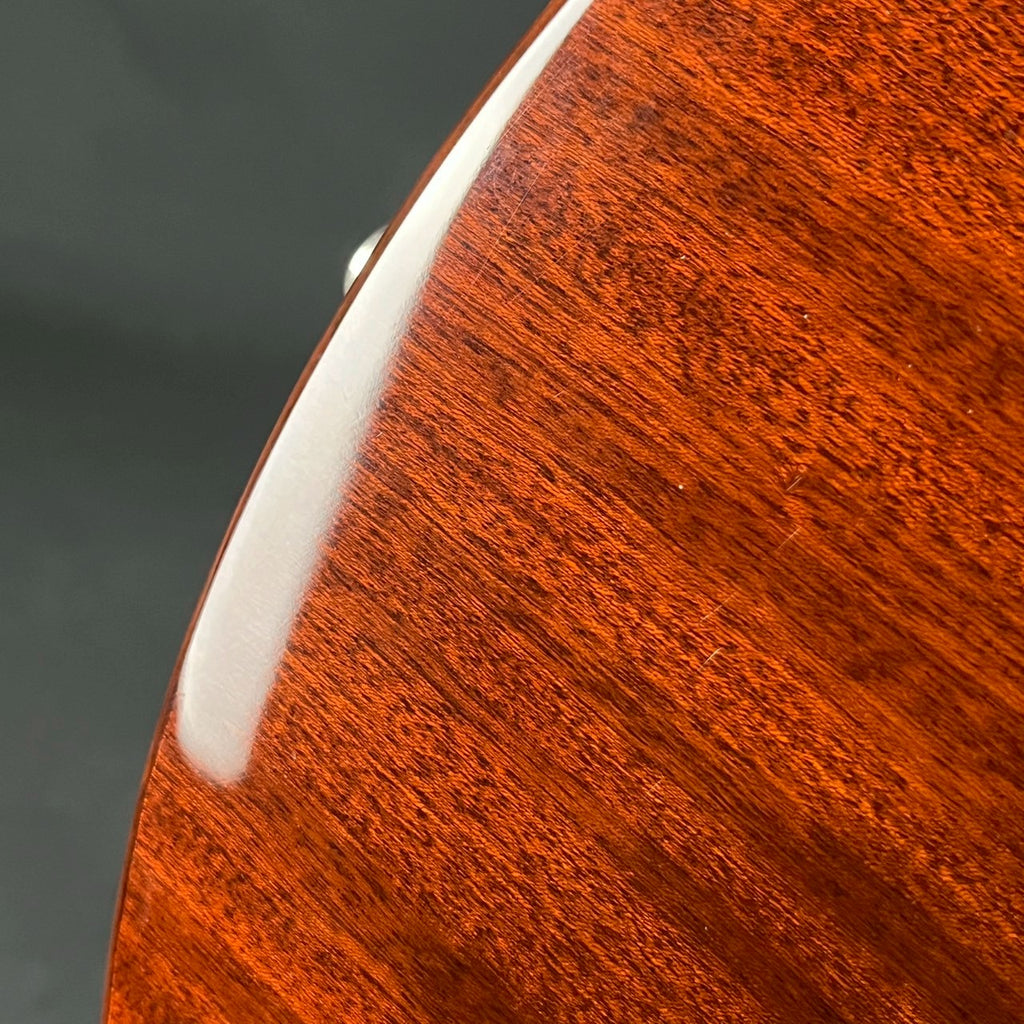 Epiphone Wildkat Studio WR