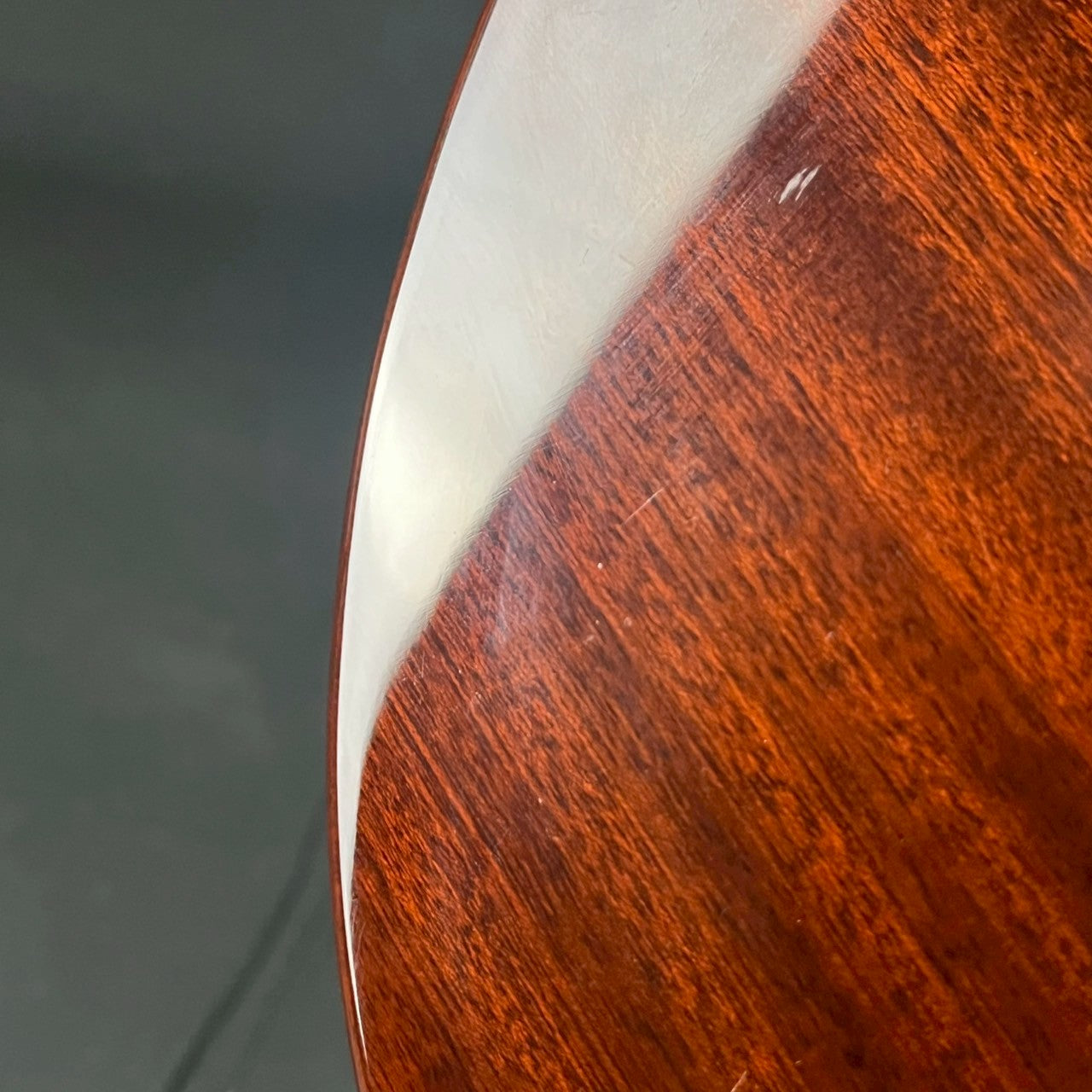 Epiphone Wildkat Studio WR