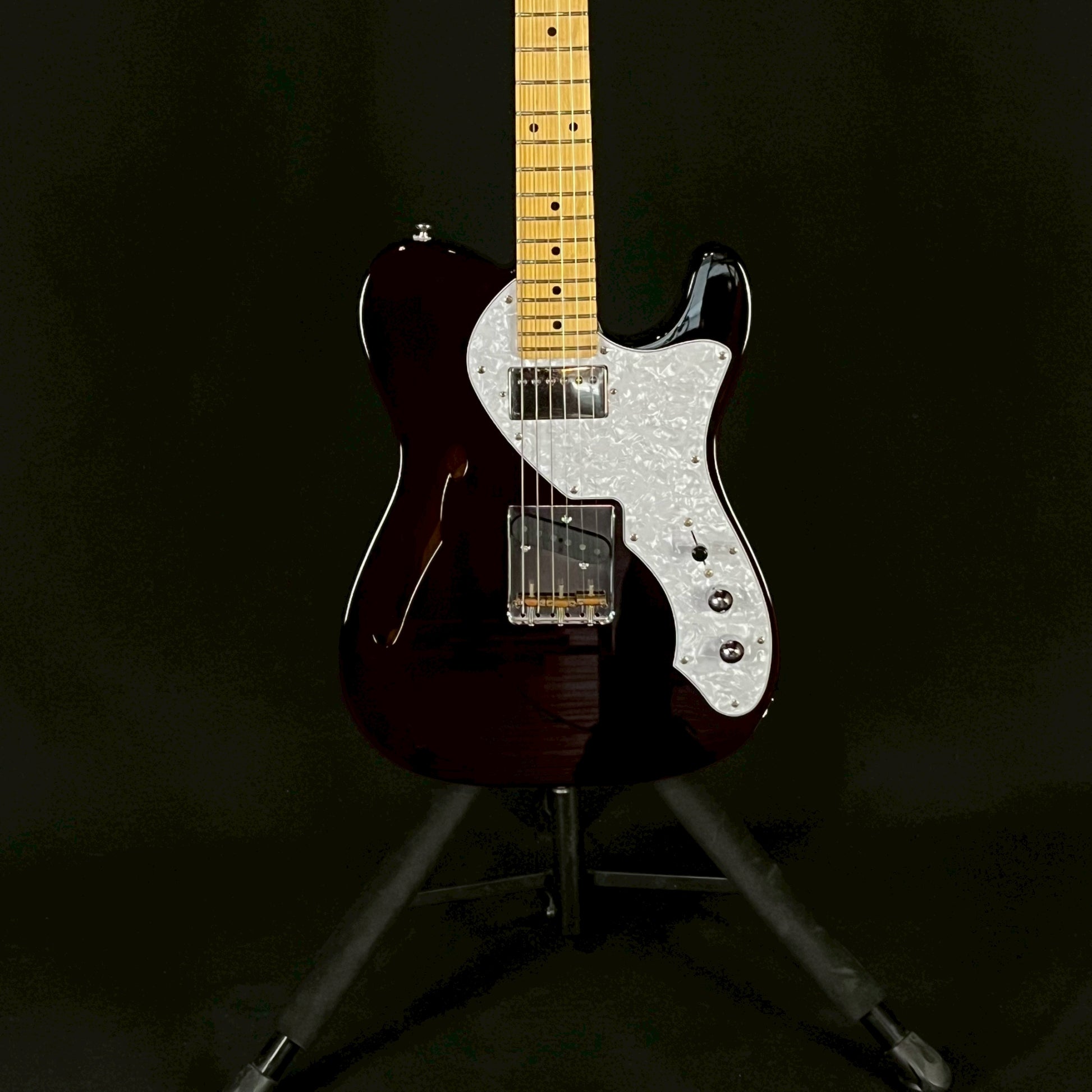 FGN Japan Telecaster Thinline