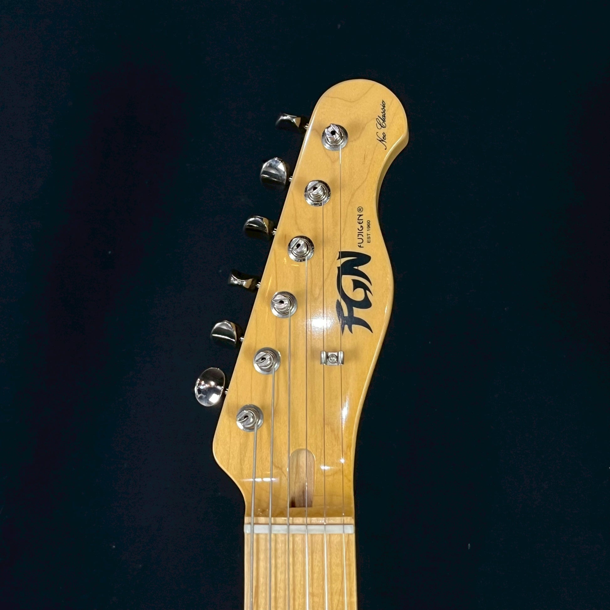FGN Japan Telecaster Thinline
