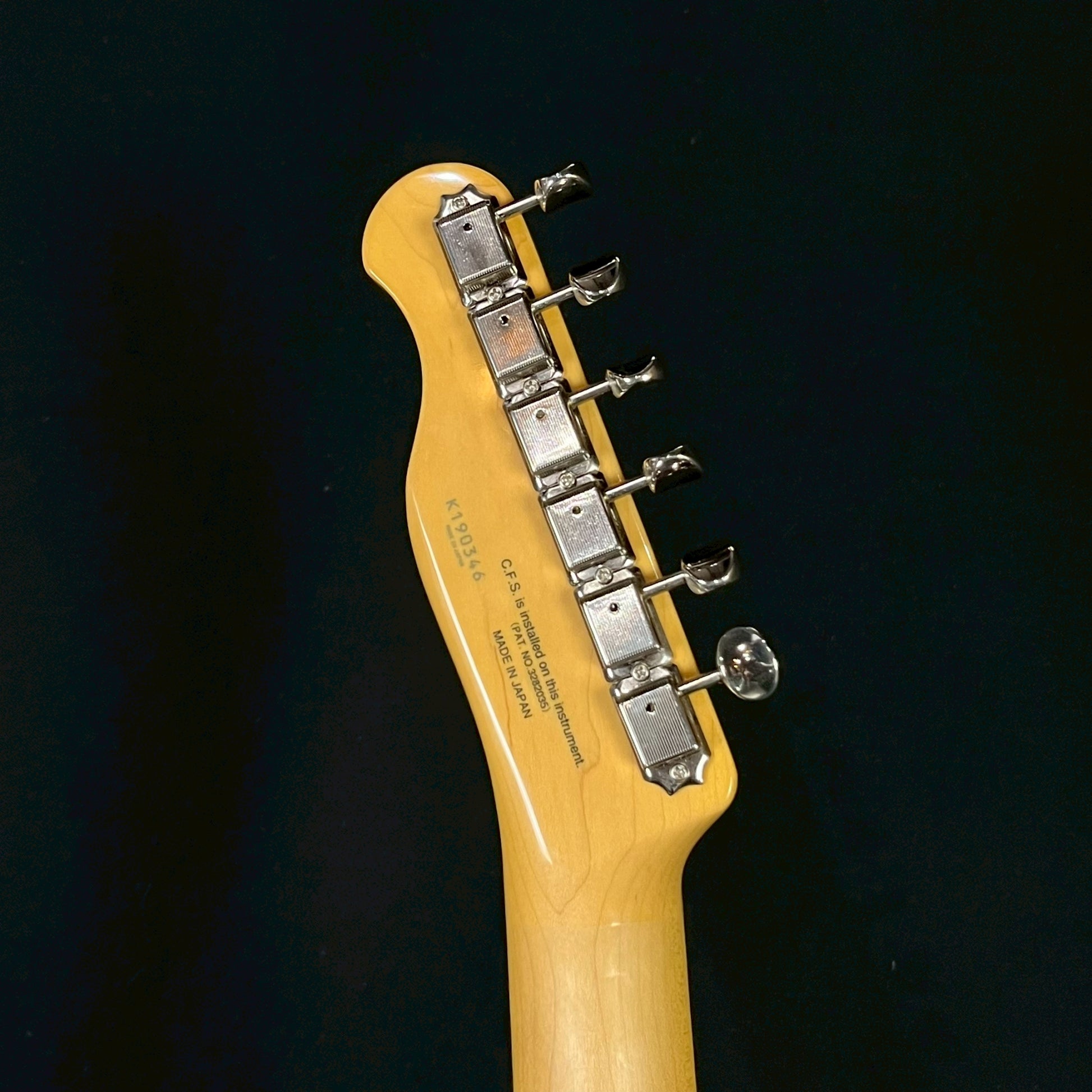 FGN Japan Telecaster Thinline