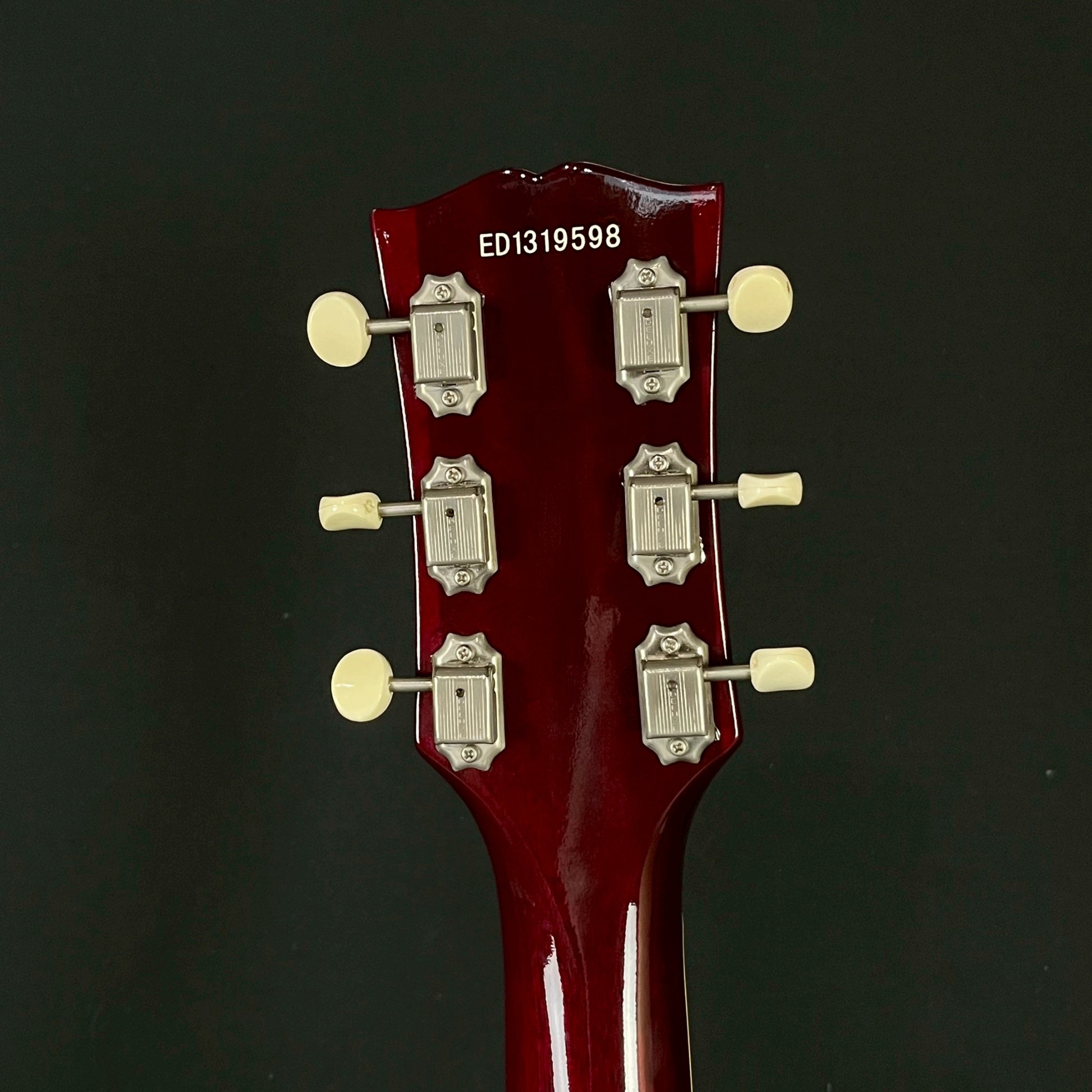 EDWARDS E-SG-90LT2/P