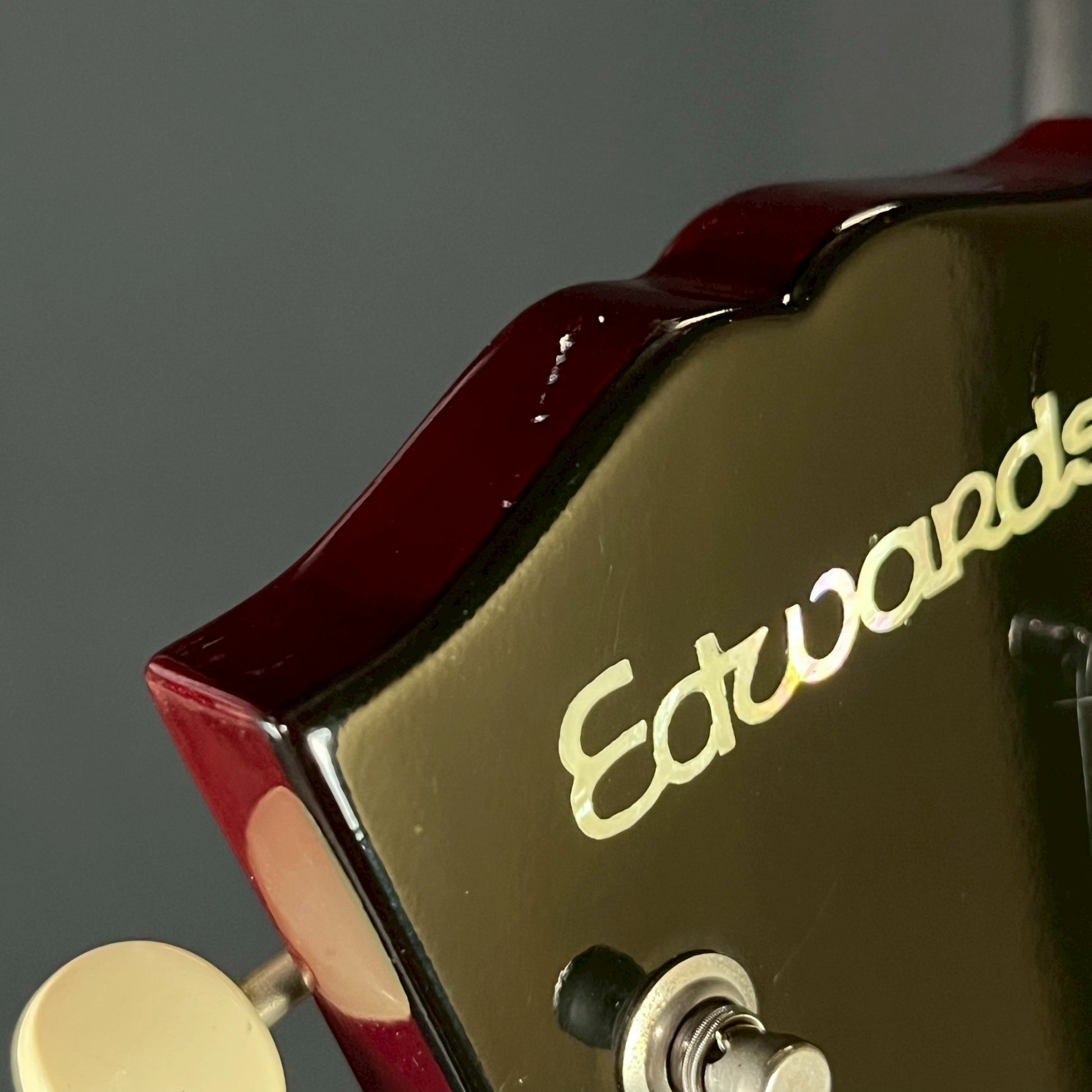EDWARDS E-SG-90LT2/P